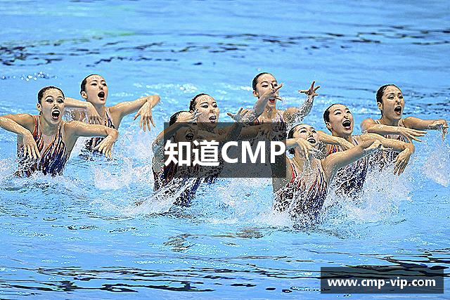 知道CMP